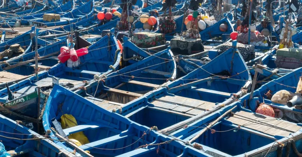 Barques bleues du port d'Essaouira